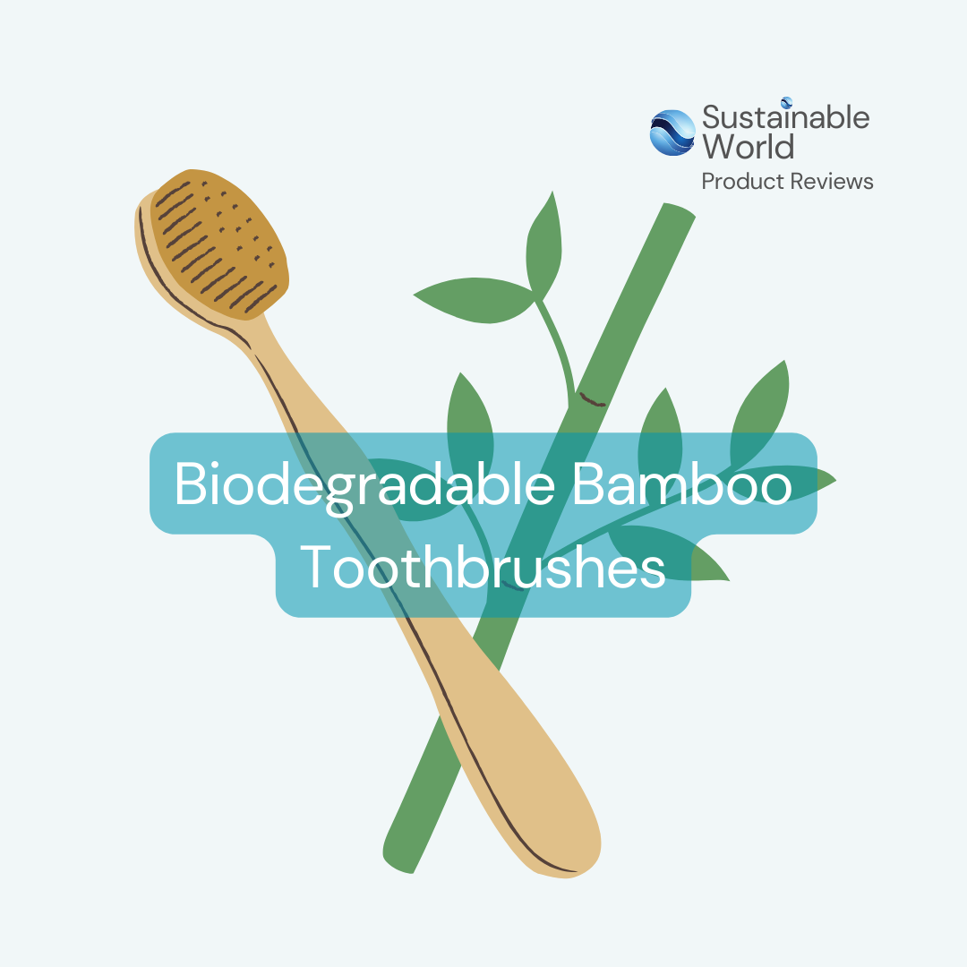 Biodegradable Bamboo Toothbrushes